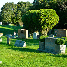 St. Patrick’s Cemetery image gallery